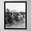 Zoek naar brazilië posters Lithografie
