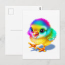 Zoek naar kuiken baby briefkaarten Kip