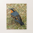 Zoek naar gazon puzzels Oranje