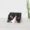 Zoek naar kat groene ogen kaarten Groet