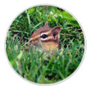 Recherche de de bébé de faune Nature