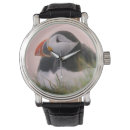 Recherche de puffin watches Animal