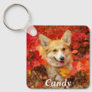 Recherche de pembroke welsh corgi porteclés Pet