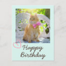 Recherche de joyeux anniversaire de chat Pour elle