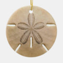 Recherche de coquilles de mer ornements Côtier