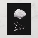 Recherche de arrière plan romantique cartes postales Floral