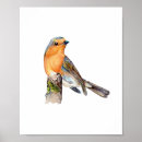 Zoek naar europese posters Vogel