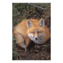 Recherche de 1002 posters Alaska