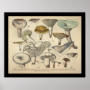 Recherche de vert jaune posters Vintage