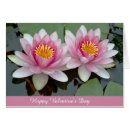 Zoek naar waterlilies briefkaarten Roze