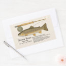 Zoek naar salmo Vliegvissen
