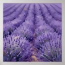 Recherche de floral violet art Paysage