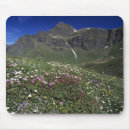 Recherche de alpes tapis souris Couleur