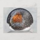 Zoek naar european briefkaarten Robin