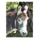 Recherche de ânes posters Animal