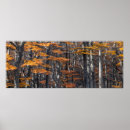 Zoek naar panoramische posters Bos