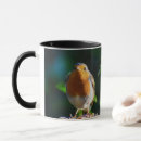Recherche de petit oiseau rouge tasses Nature