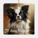 Zoek naar papillon Kerstmis