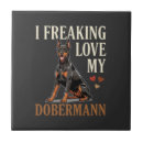 Recherche de dobermann carreaux Chiot