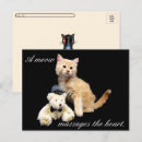 Zoek naar teddy bear briefkaarten Kat