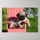 Recherche de ennui posters Chien