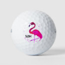 Zoek naar vogel golfballen Waterverf
