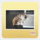 Recherche de chats de lol Je peux avoir cheezburger