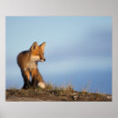 Recherche de 1002 posters Nwr