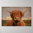 Recherche de highland cow posters Montagne