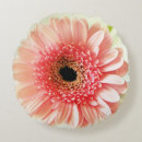 Zoek naar gerbera kussens Botanisch