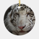 Recherche de tigre blanc ornements Animal