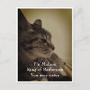Zoek naar bathroom briefkaarten Kat