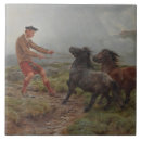 Recherche de poney de carreaux Poulain