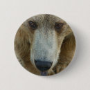 Recherche de animaux sauvages badges Porter
