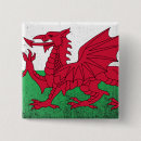 Recherche de pays de galles badges Souillé