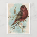 Recherche de oiseaux vintages cartes postales Fleurs