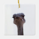 Recherche de autruche ornements Portrait