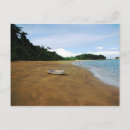 Recherche de santo cartes postales Plage