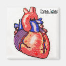 Recherche de anatomie humaine magnets Coeur
