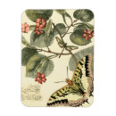 Recherche de libellule magnets Animaux