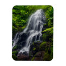 Recherche de danita delimont magnets Tree