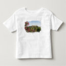 Recherche de vallée tshirts Route