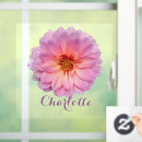 Recherche de zinnia rose Photographie florale