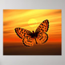 Zoek naar oranje vlinder posters Illustratie