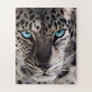 Zoek naar grote eyed Blauwe ogen