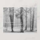 Recherche de esprit forêt cartes postales Arbres