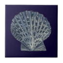 Recherche de shell carreaux Côte