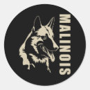 Recherche de malinois autocollants Berger