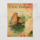 Recherche de vintage bird illustrations posters Oiseaux