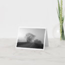 Recherche de chênes photographie Paysage